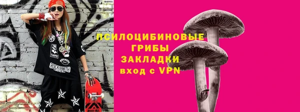 хмурый Снежногорск