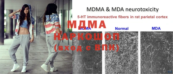 гашик Белокуриха