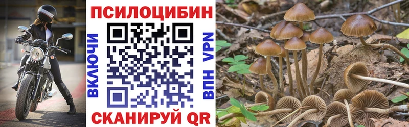 OMG ссылки  Называевск  Псилоцибиновые грибы ЛСД 