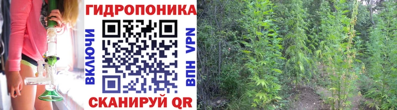 Каннабис VHQ  магазин    Называевск 